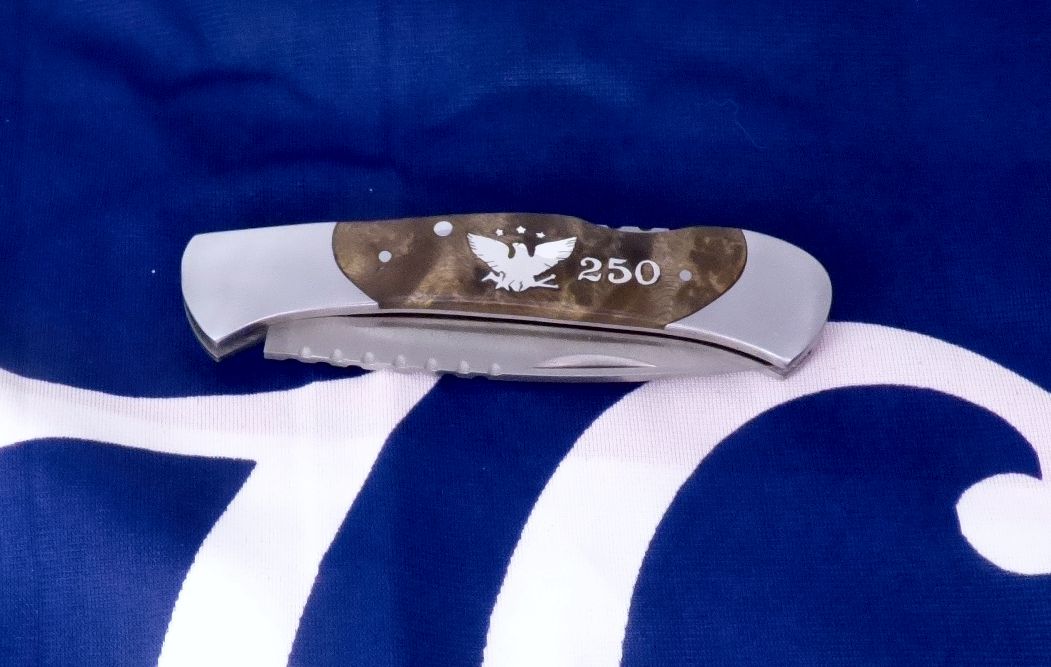Camper eagle with olive branch 250
